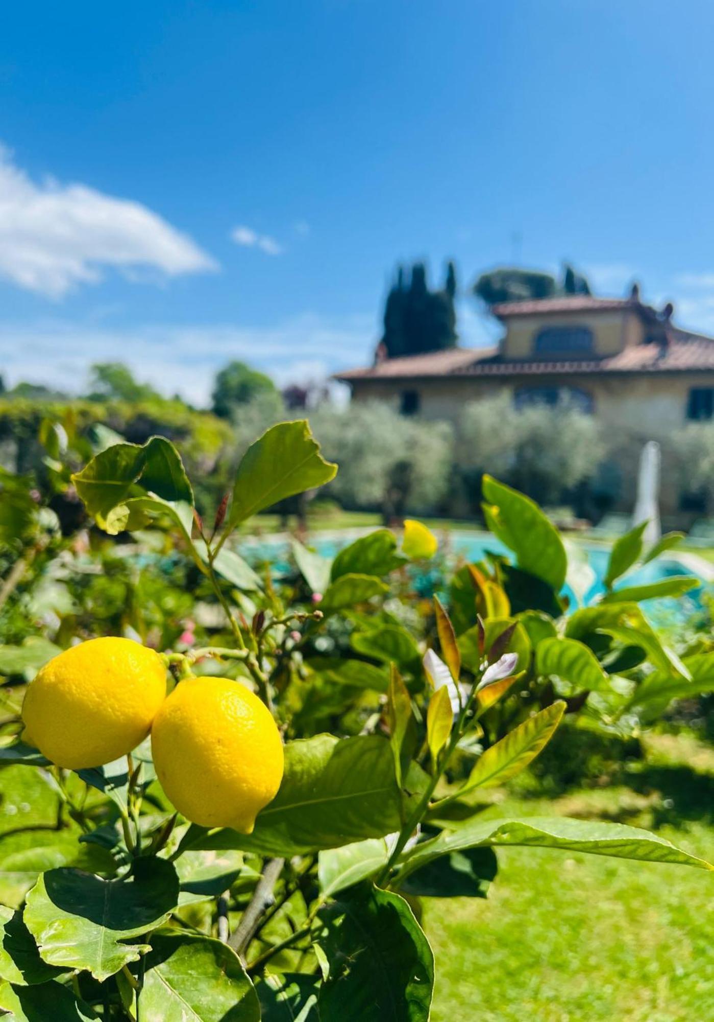 Villa Giotto Florence Pozzolatico Exteriér fotografie